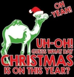 christmas camel